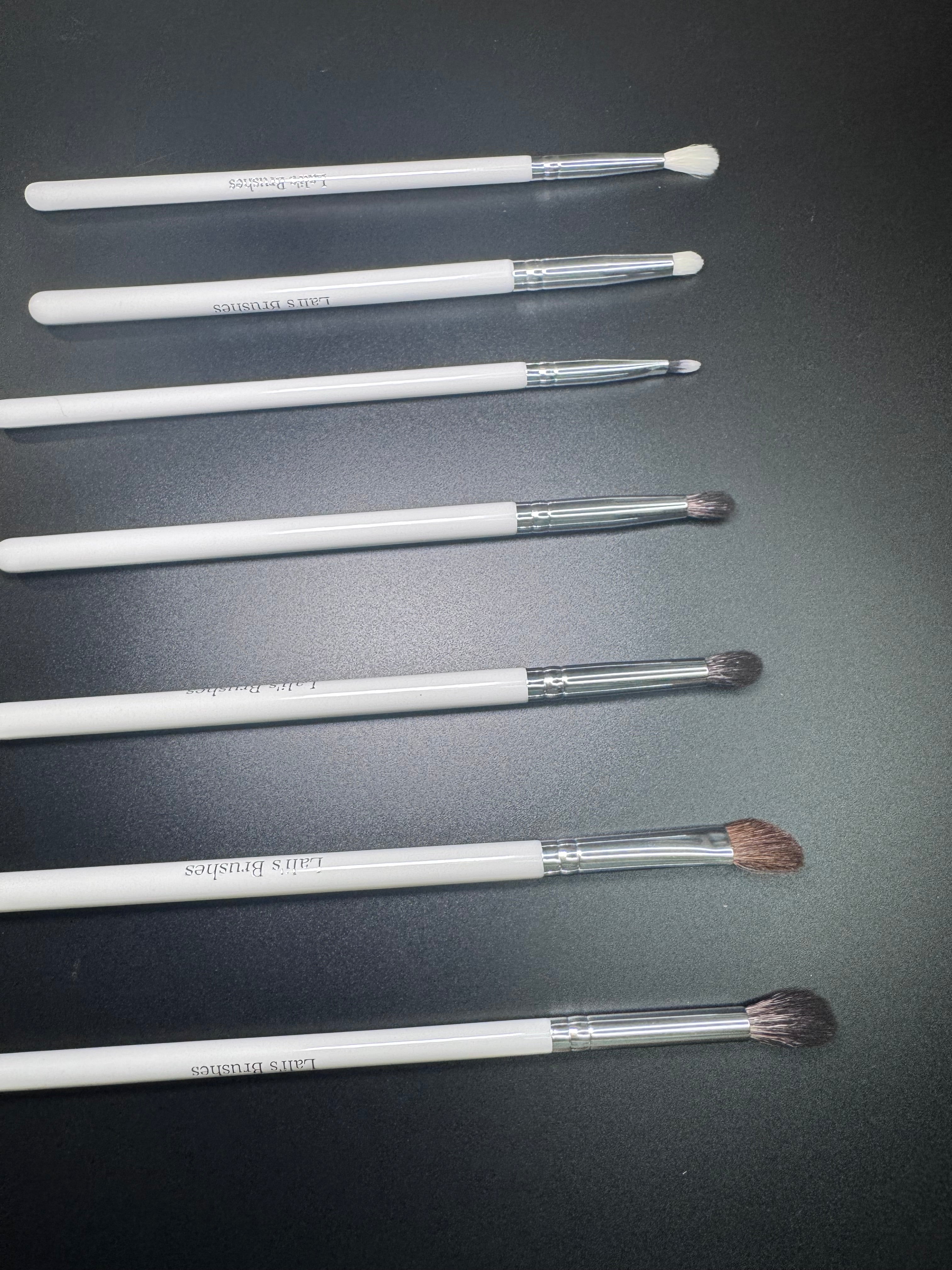 Set profesional brochas